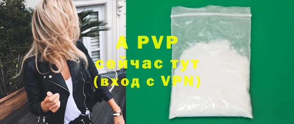 стафф Алексин
