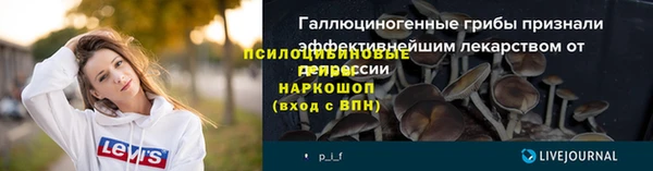 стафф Алексин