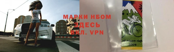 стафф Алексин