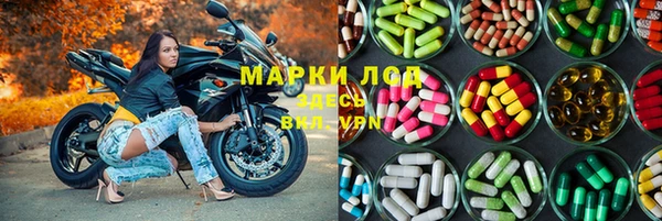 стафф Алексин