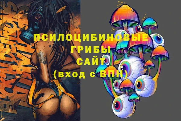 стафф Алексин