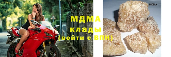 стафф Алексин