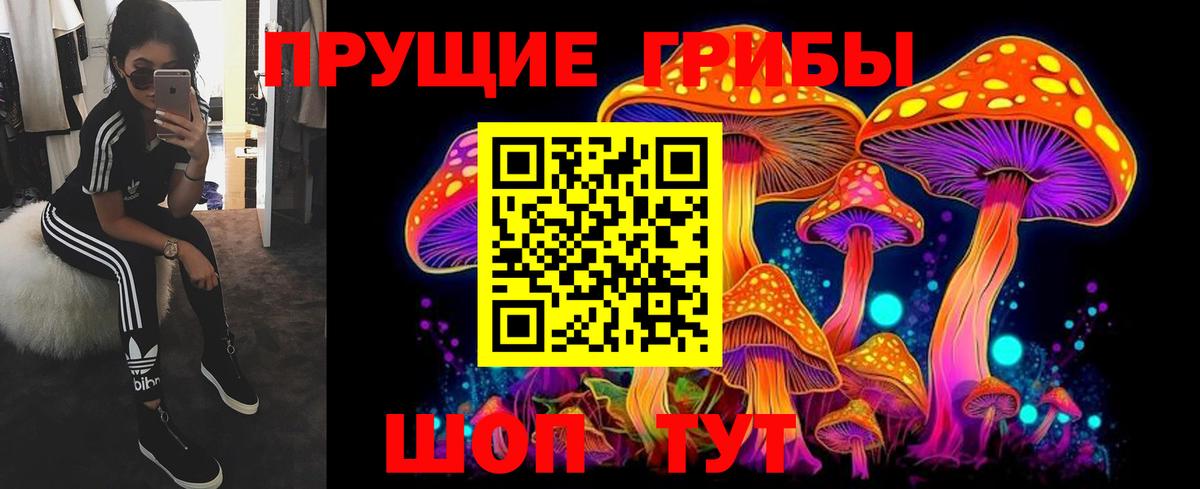 Галлюциногенные грибы Cubensis Людиново